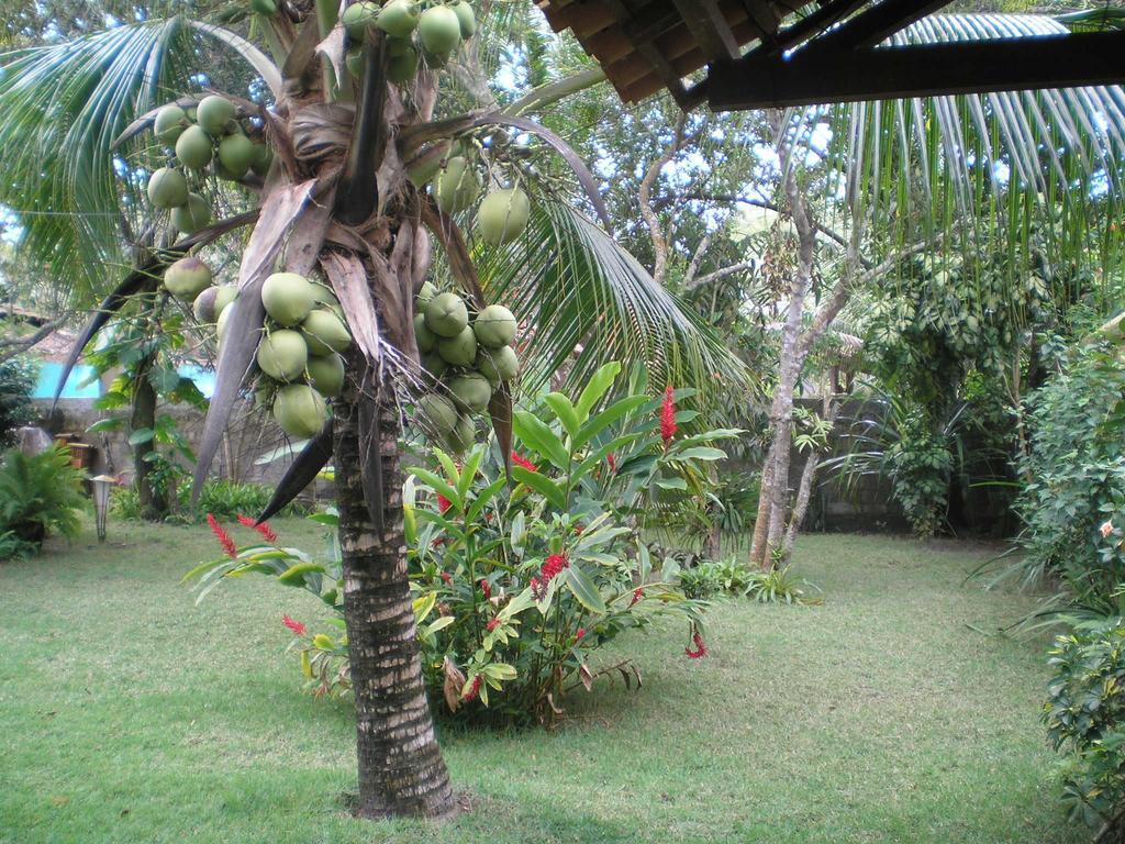 Casa Da Duda Villa Porto Seguro Rum bild